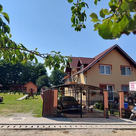 Pensiunea Sonia Cîrţişoara Bagian luar foto