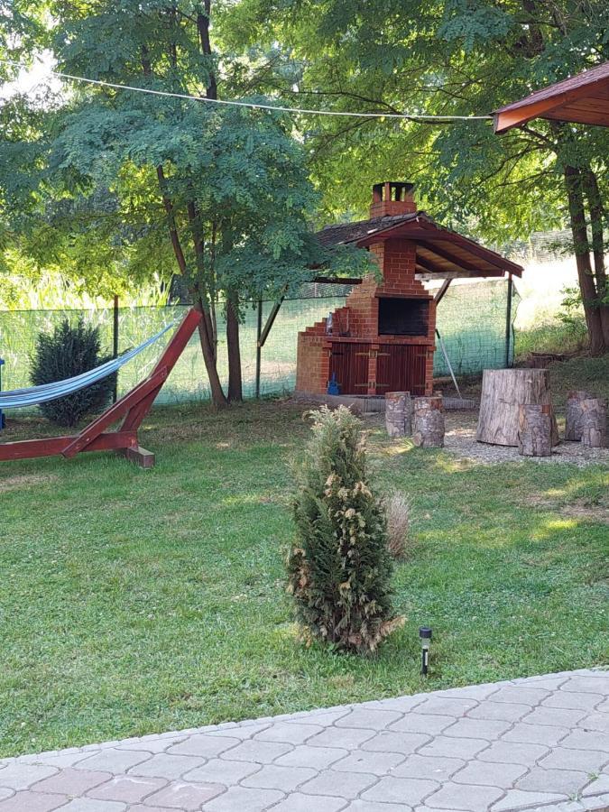 Pensiunea Sonia Cîrţişoara Bagian luar foto