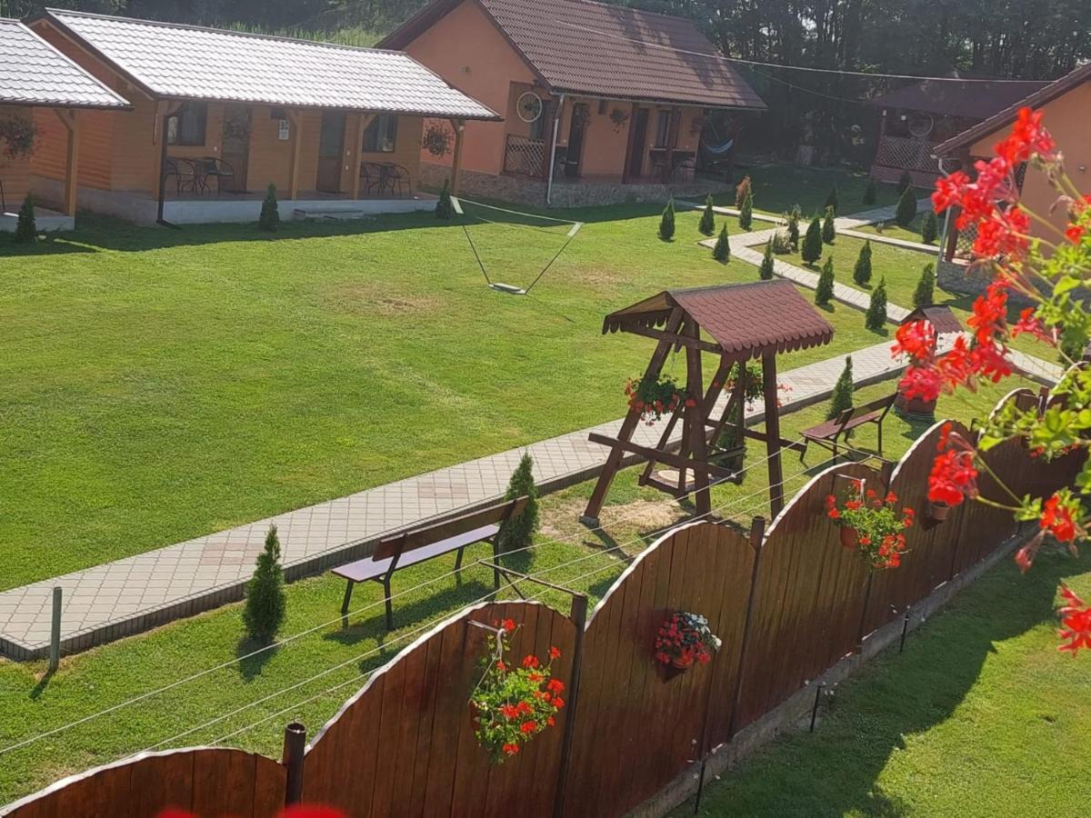 Pensiunea Sonia Cîrţişoara Bagian luar foto