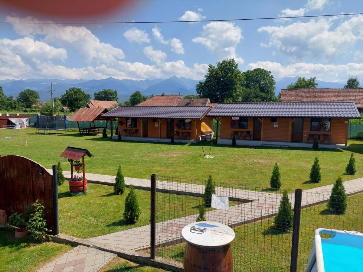 Pensiunea Sonia Cîrţişoara Bagian luar foto